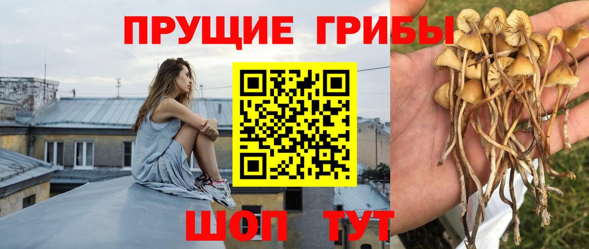 Псилоцибиновые грибы мухоморы  Галлюциногенные грибы мицелий  Вход с VPN  Саянск 